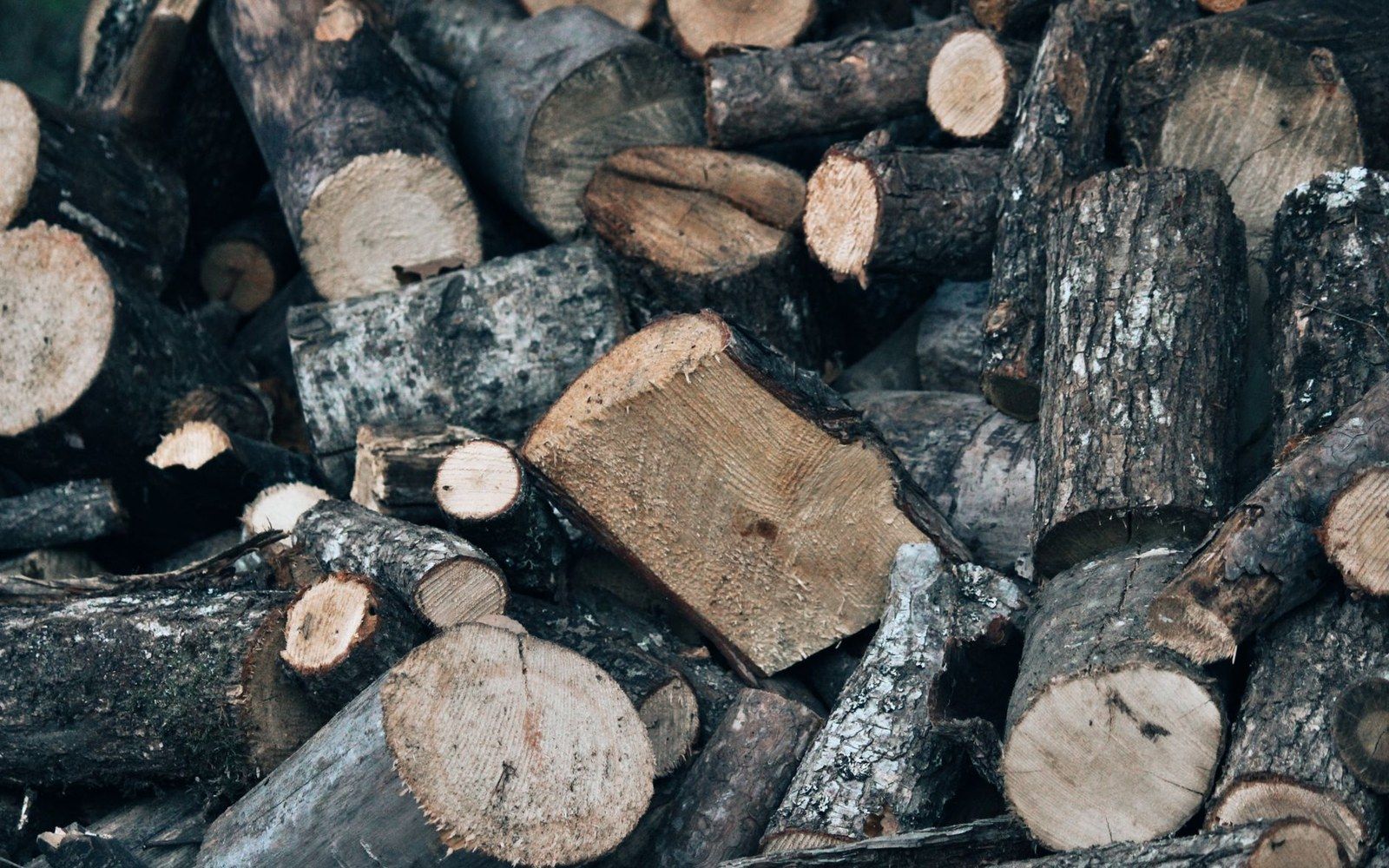Stacked logs of cut firewood showing bark and freshly sawn cross-sections
